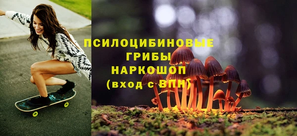 метадон Арсеньев